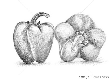 Original pencil drawing by the pepper. 20847855