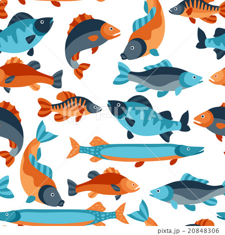 Seamless pattern with various fish. Background 20848306
