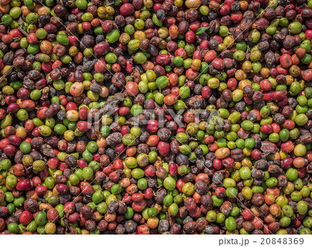 fresh coffee beans before roast. 20848369