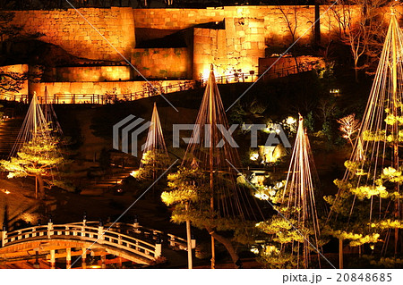 冬の玉泉院丸庭園のライトアップ 20848685