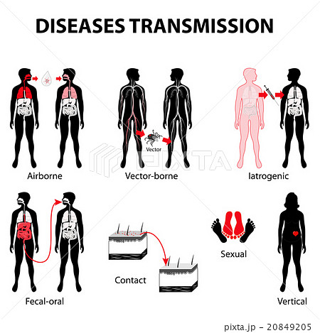 disease transmission disease transmission 20849205