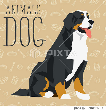 Vector Dogs Collection 20849254