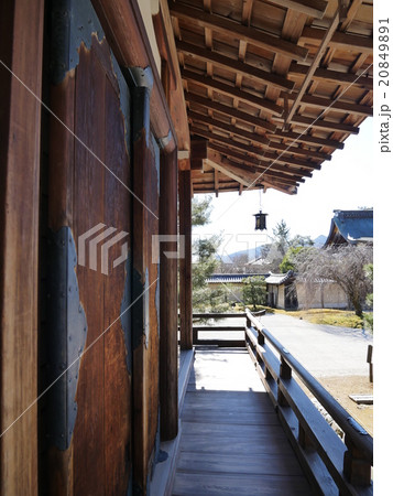 大覚寺 大覚寺 20849891