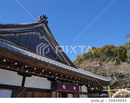 大覚寺・五大堂 20849893