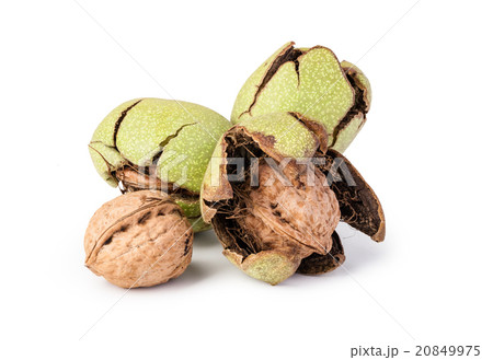 walnuts walnuts 20849975