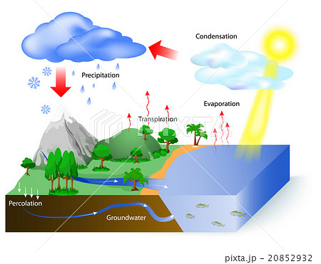 water cycle water cycle 20852932