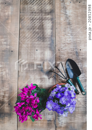 Gardening tools and flower on wooden background Gardening tools and flower on wooden background 20852998