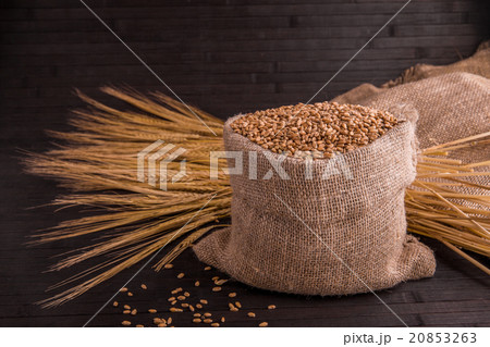 Wheat in a sack against a dark background with gra 20853263