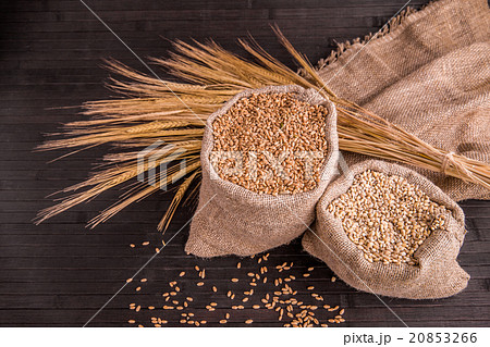 Wheat and pearl barley in sacks against a dark bac 20853266