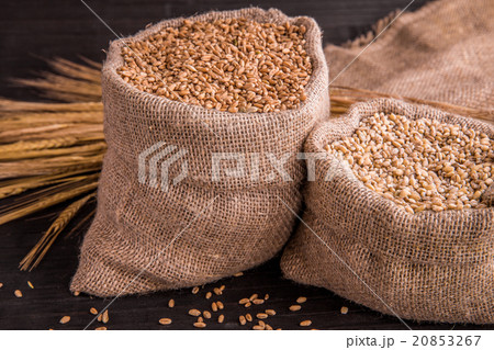Wheat and pearl barley in sacks against a dark bac 20853267