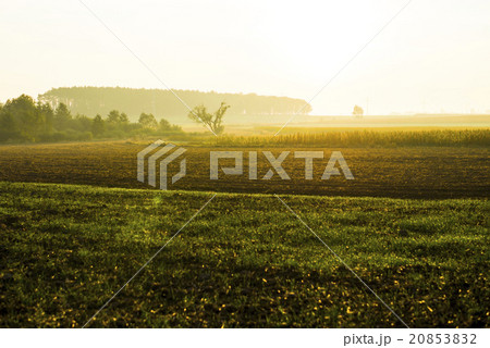 Sunrise over a field on a spring day. 20853832
