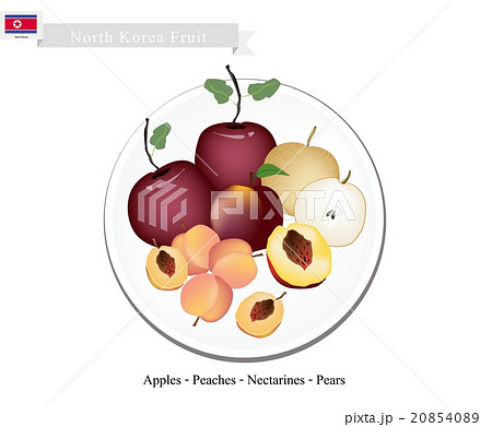 Apple, Peach, Nectaeines, Pear are Popular Fruits 20854089