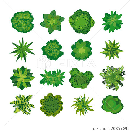 Trees - top view. 20855099