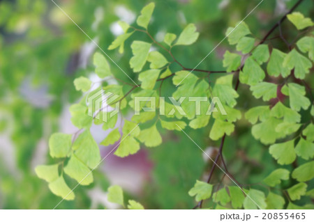 abstract texture background  20855465