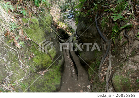 弘法大師相模二十一ヶ所霊場の第七番「寿福寺」を訪れて 弘法大師相模二十一ヶ所霊場の第七番「寿福寺」を訪れて 20855868