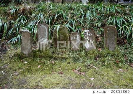 弘法大師相模二十一ヶ所霊場の第七番「寿福寺」を訪れて 弘法大師相模二十一ヶ所霊場の第七番「寿福寺」を訪れて 20855869