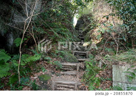 弘法大師相模二十一ヶ所霊場の第七番「寿福寺」を訪れて 弘法大師相模二十一ヶ所霊場の第七番「寿福寺」を訪れて 20855870