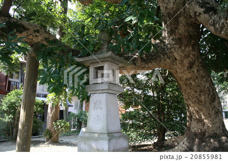 鎌倉市扇ガ谷の鎮守「八坂大神」を訪れて 鎌倉市扇ガ谷の鎮守「八坂大神」を訪れて 20855981