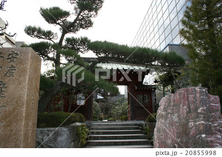 安産祈願の大巧寺を訪れて 安産祈願の大巧寺を訪れて 20855998