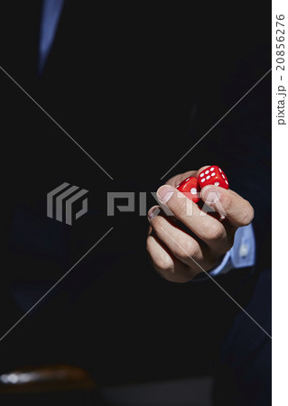 ビジネスマン1名 ビジネスマン1名 20856276