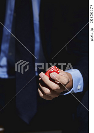 ビジネスマン1名 ビジネスマン1名 20856277