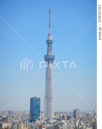 スカイツリーの全貌 20856301