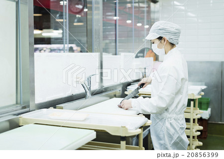 シニアスーパーマーケット 20856399