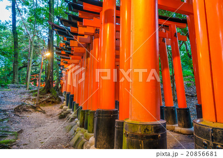 Red Tori Gate at Fushimi Inari Shrine Temple in Kyoto, Japan 20856681
