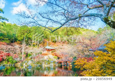 Daigo-ji temple in autumn, Kyoto, Japan 20856949