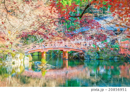 Daigo-ji temple in autumn, Kyoto, Japan 20856951