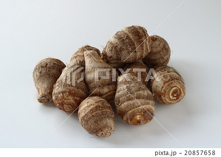 海老芋 海老芋 20857658