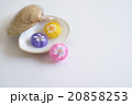 貝と飴 20858253