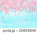 花吹雪　桜吹雪　サクラ　さくら　水彩　花びら　ハート形　模様　風景　お花見日和　青空　４月　春　背景 20858846