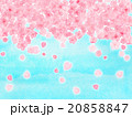 花吹雪　桜吹雪　サクラ　さくら　水彩　花びら　ハート形　模様　風景　お花見日和　青空　４月　春　背景 20858847