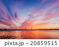 横浜ベイブリッジの朝 20859515
