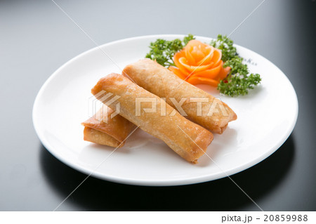 春巻き 春巻き 20859988