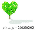 木かげ_ハート型 20860292