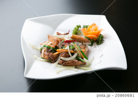 揚げ手羽先 20860681