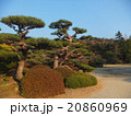 日本庭園 20860969
