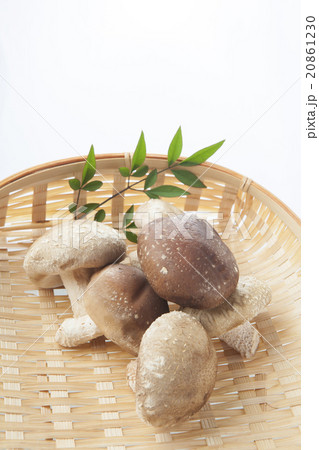 しいたけ 20861230