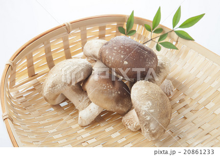 しいたけ しいたけ 20861233