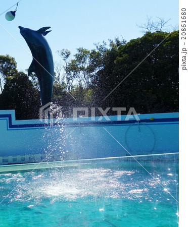 イルカショー 20861680