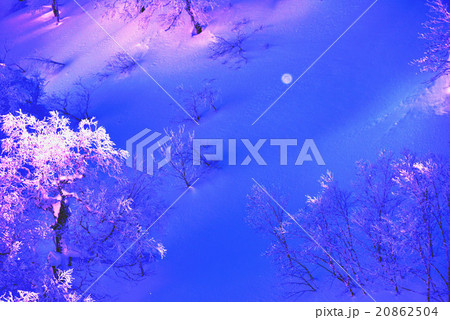 北海道富良野（十勝岳）の冬景色 20862504