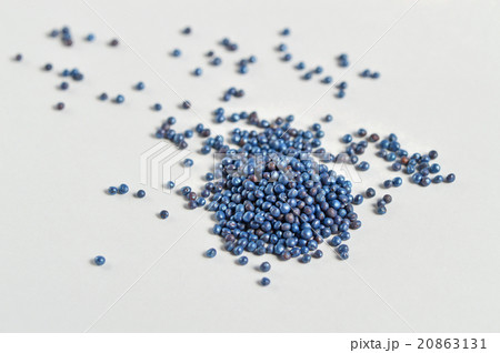 食用 菜花の種(チウラム処理済み) 食用 菜花の種(チウラム処理済み) 20863131