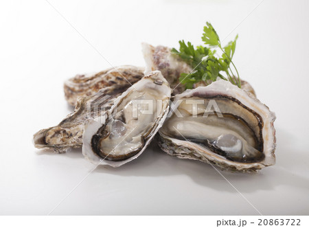 生牡蠣 20863722
