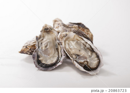 生牡蠣 20863723