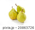 洋梨 20863726