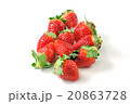 いちご 20863728