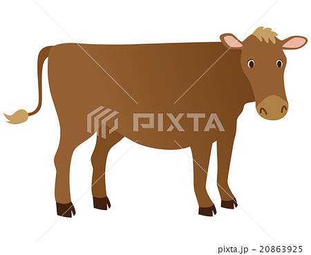 牛 ジャージー 牛 ジャージー 20863925