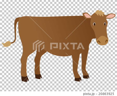Cow jersey Cow jersey 20863925
